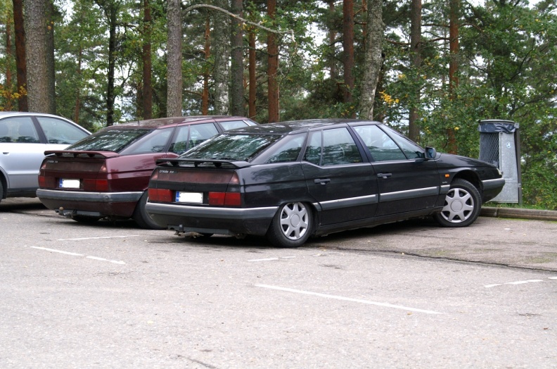 XMeet2.JPG