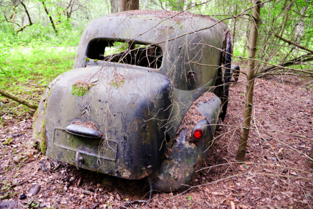 Citroën B11 hylättynä metsässä