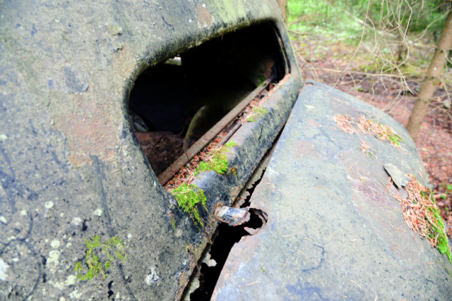 Citroën B11 hylättynä metsässä